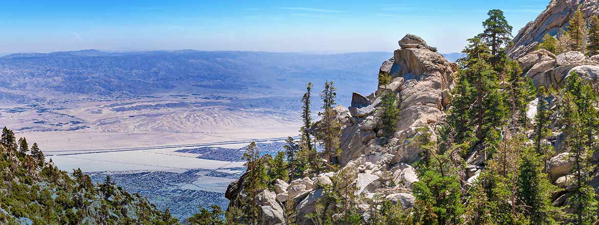 22-7136-YESC-groups-web-banner-1170×440-v1-background