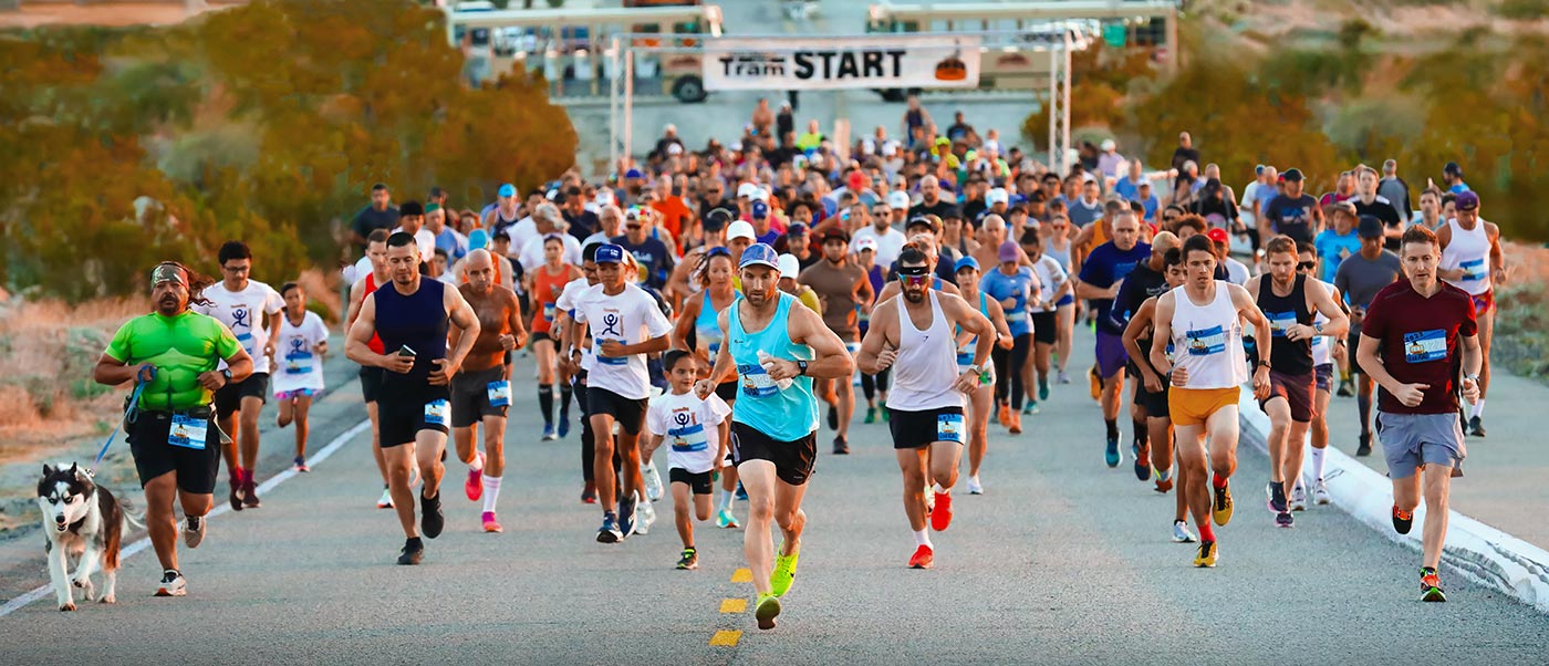 Road-Challenge_2025_bgd