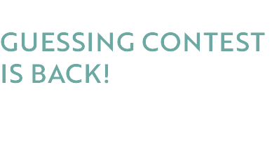 Snow Guessing_copy