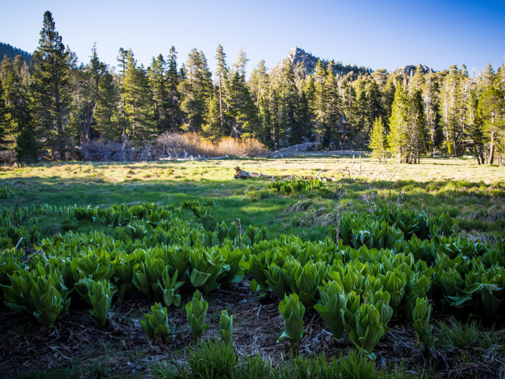 Round Valley Palm Springs Aerial Tramway