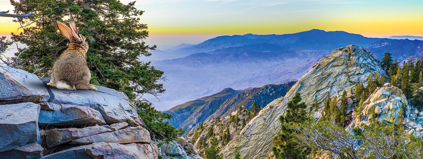 Easter Ride 'N' Dine