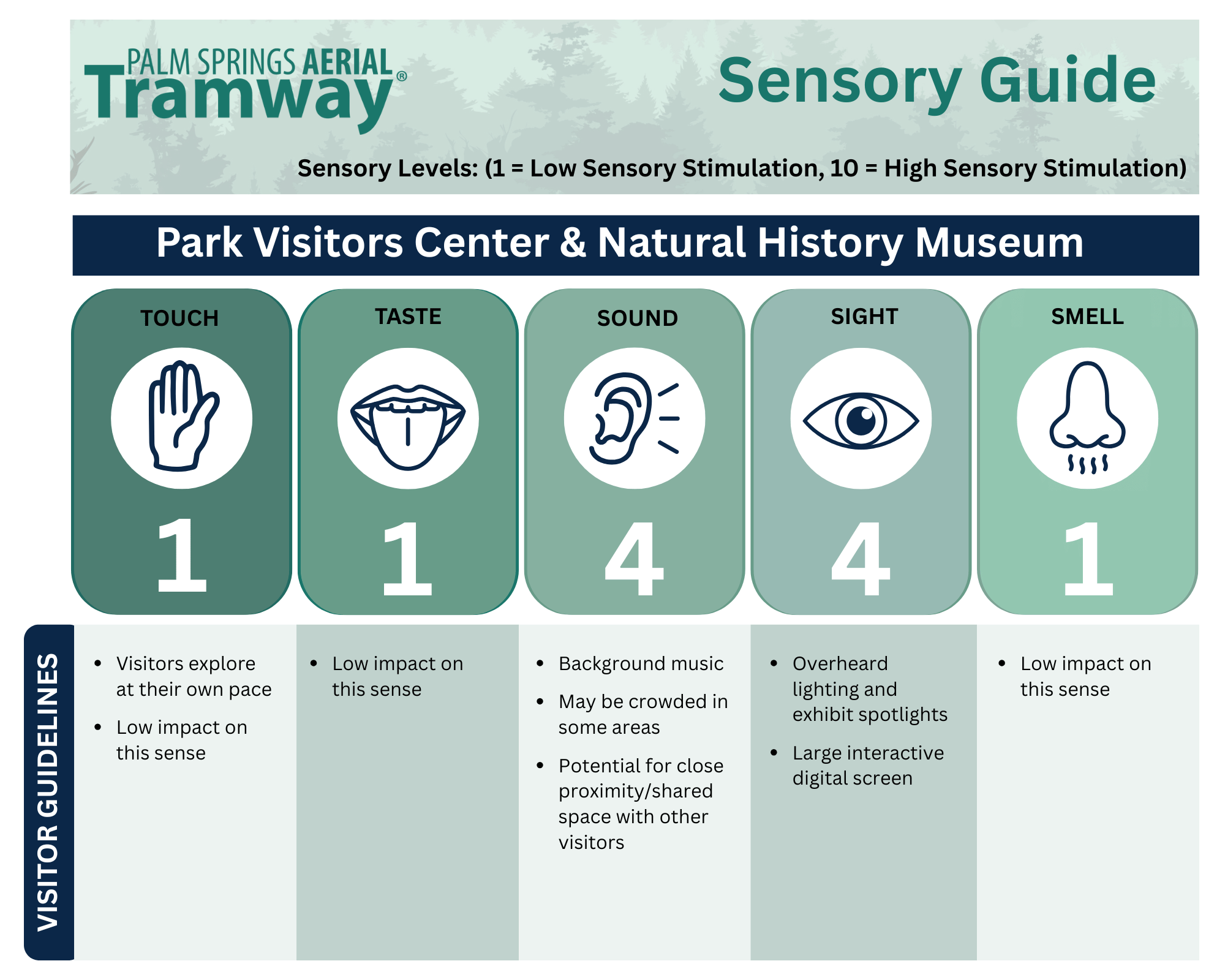 Sensory Guide-11