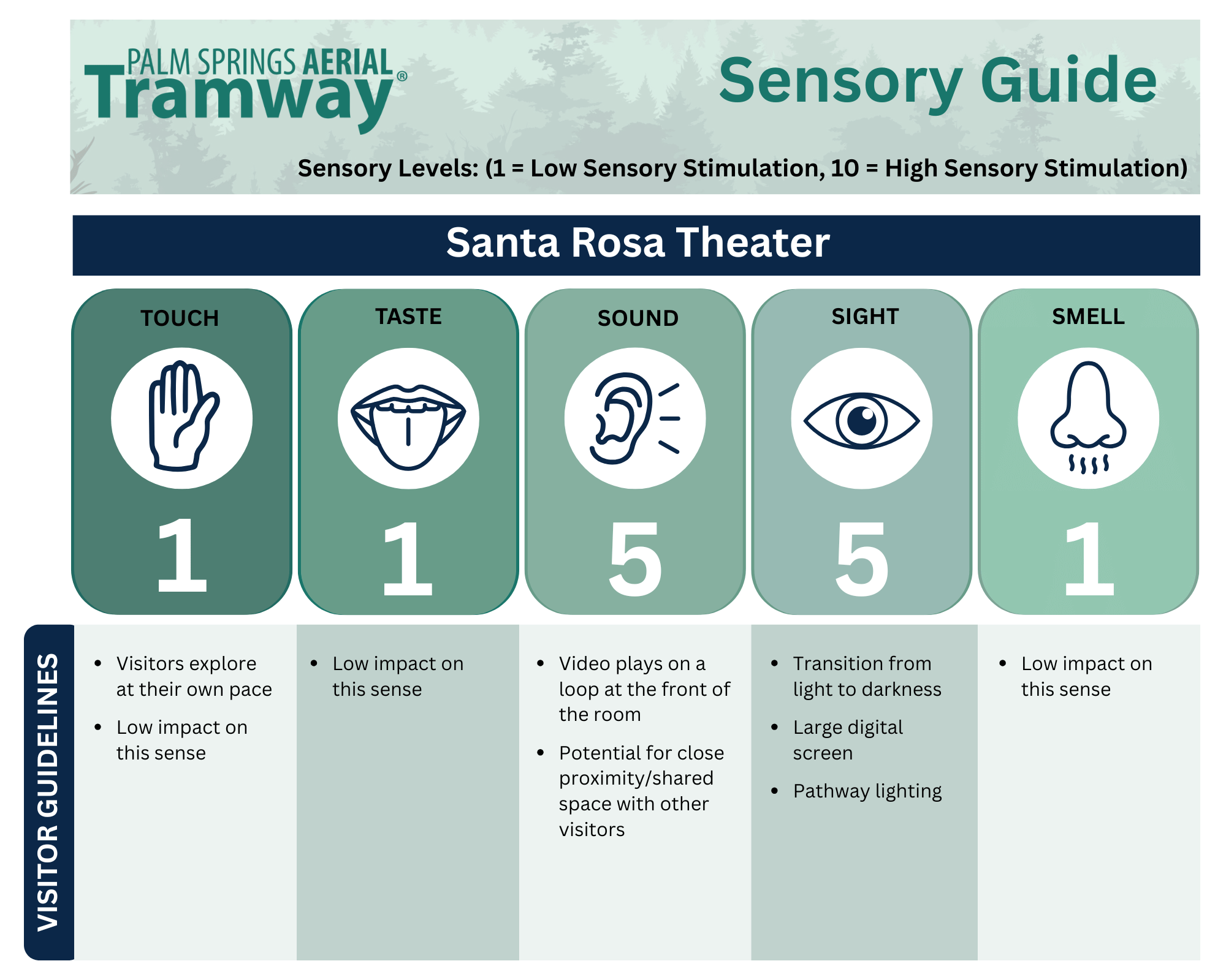 Sensory Guide-13