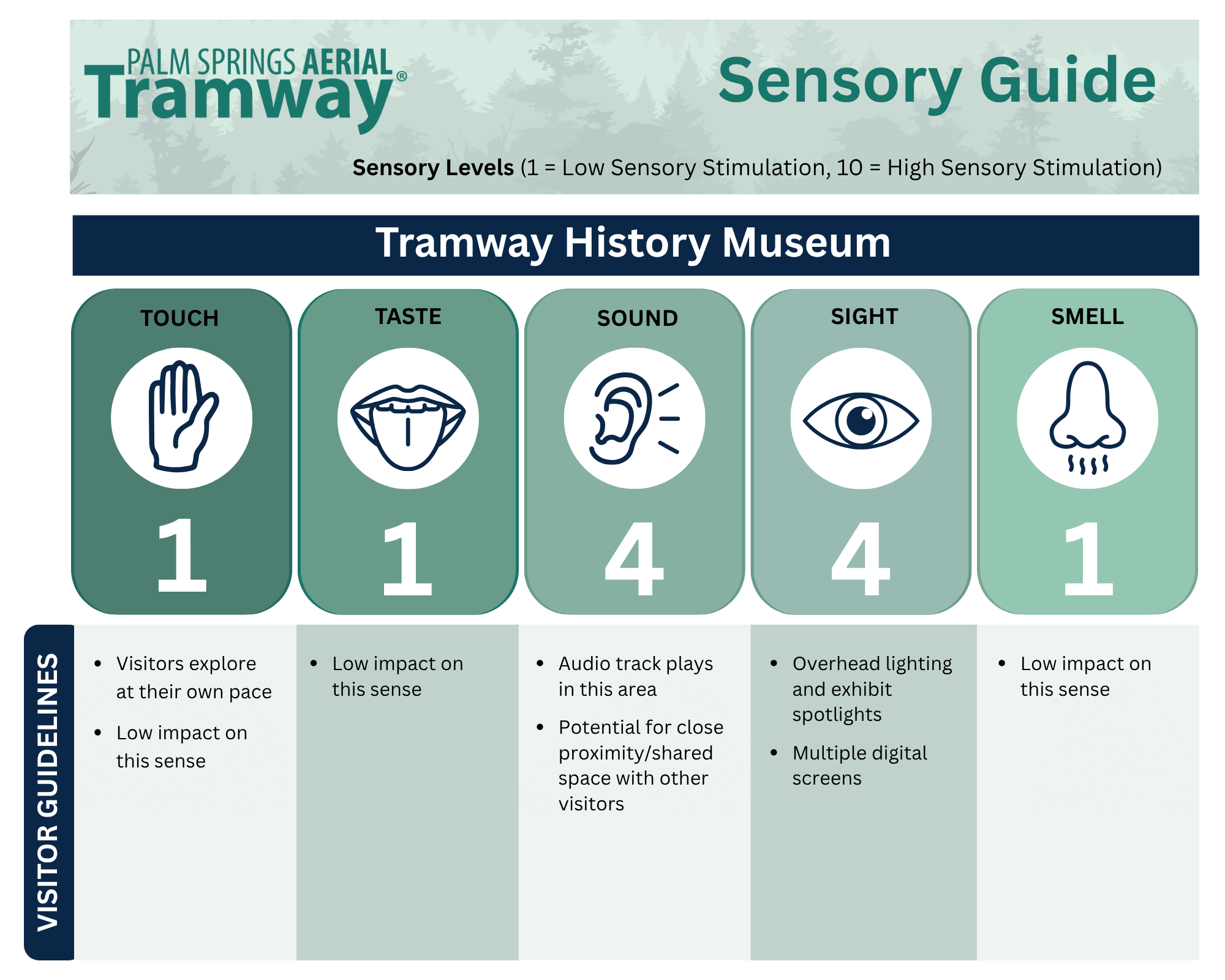 Sensory Guide-5