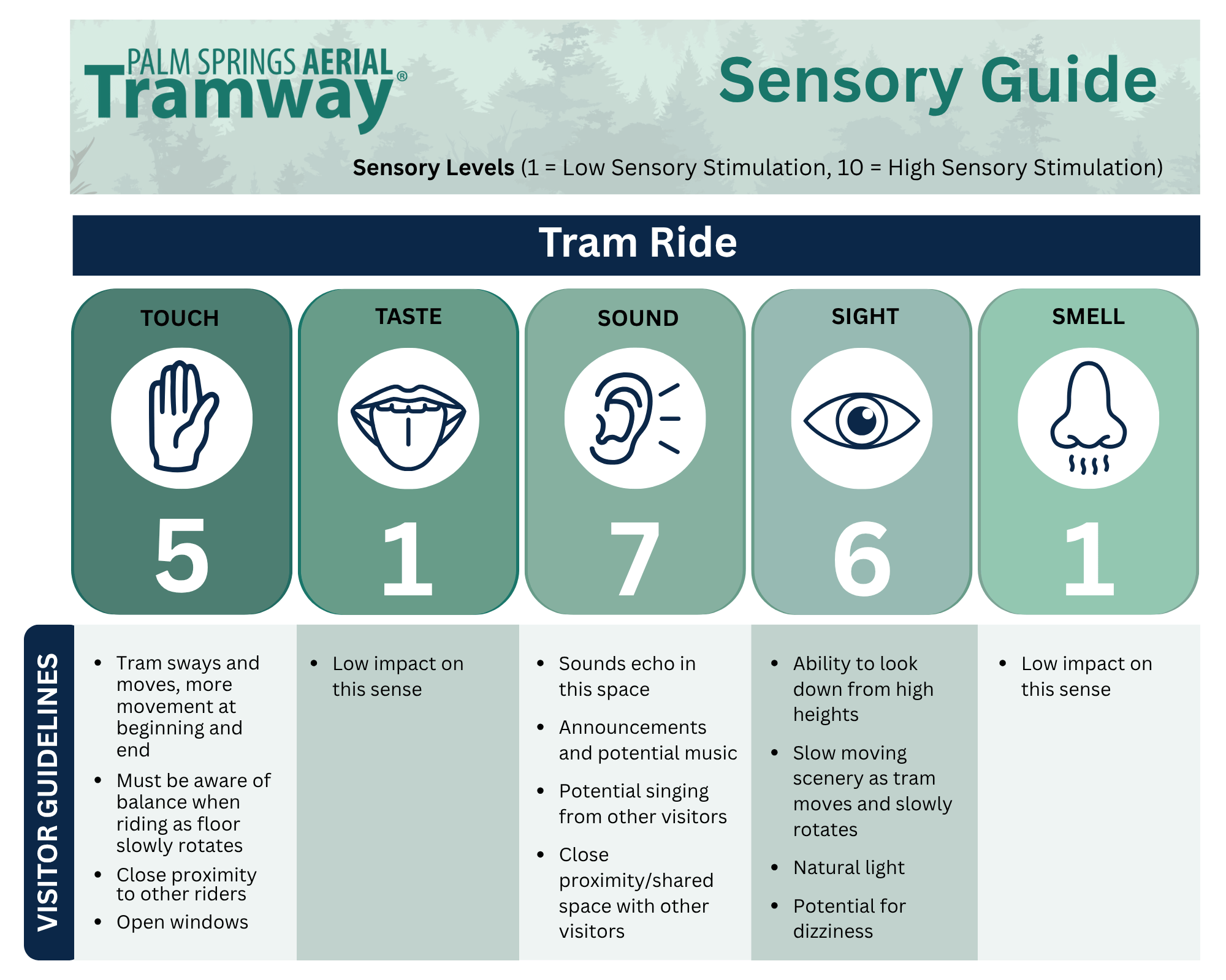 Sensory Guide-6