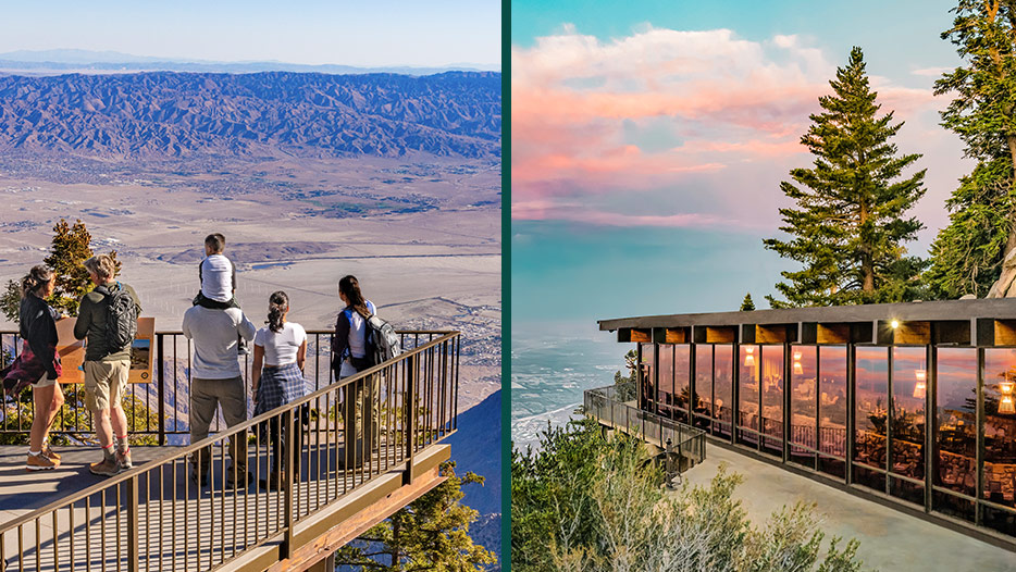 Tram Dining and sightseeing