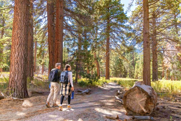 Hike Mount San Jacinto State Park 2 SUMMER STARTS HERE: MEMORIAL DAY WEEKEND AT THE PALM SPRINGS AERIAL TRAMWAY