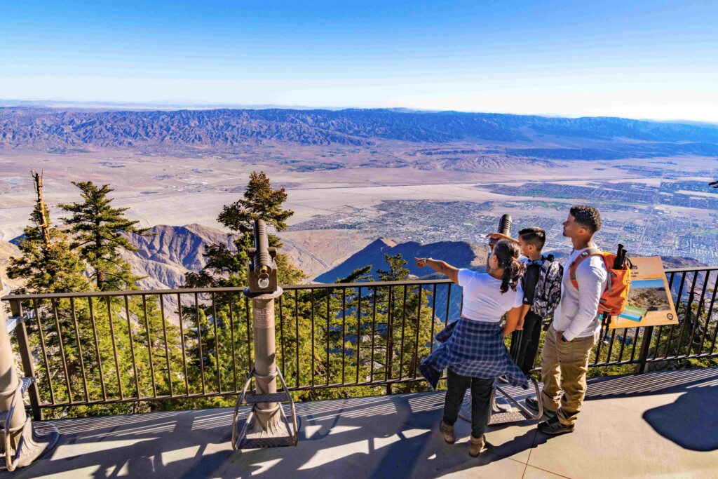 Mountain Station – Observation Deck Mountain Station - Observation Deck