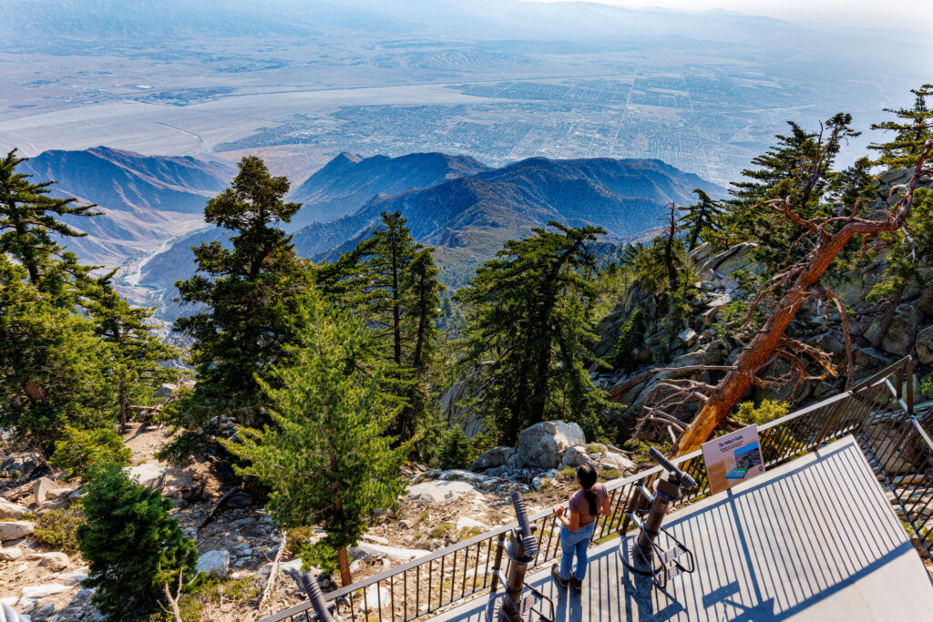 Observation-Deck-at-the-Mountain-Station Mountain Station - Observation Deck